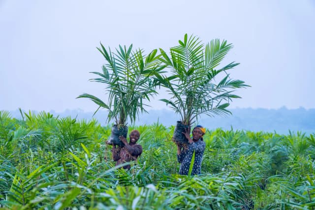 JB Farms team member
