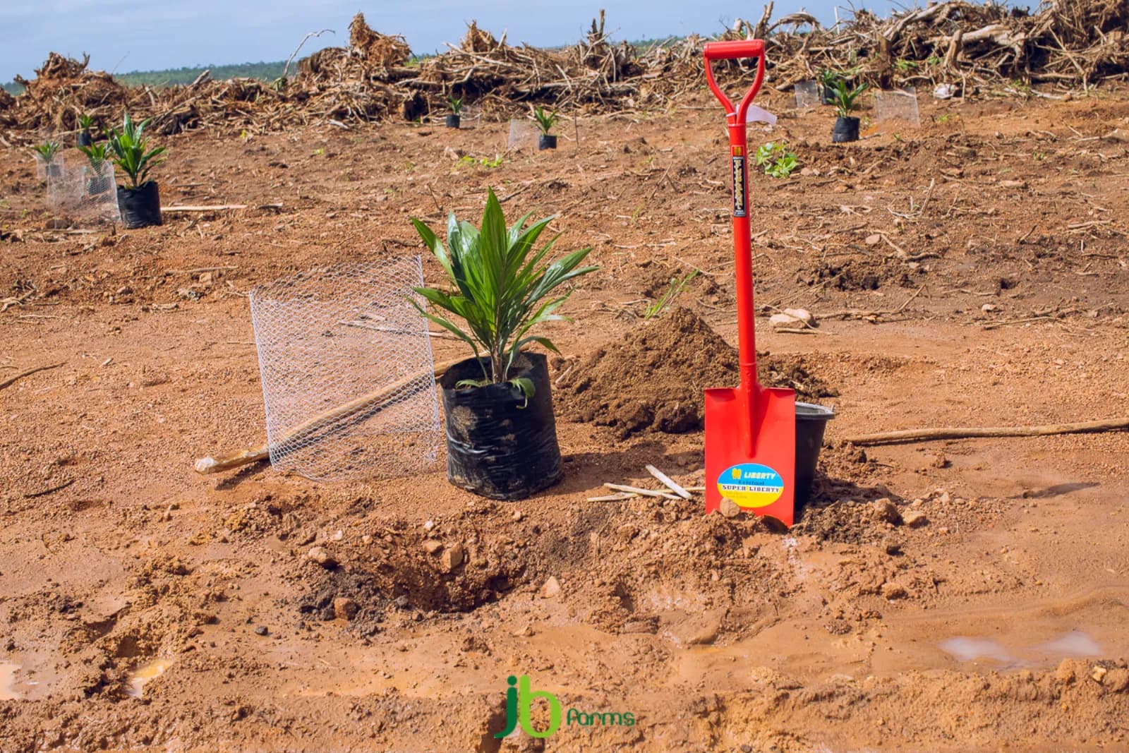 A Look Into How JB Farms Started