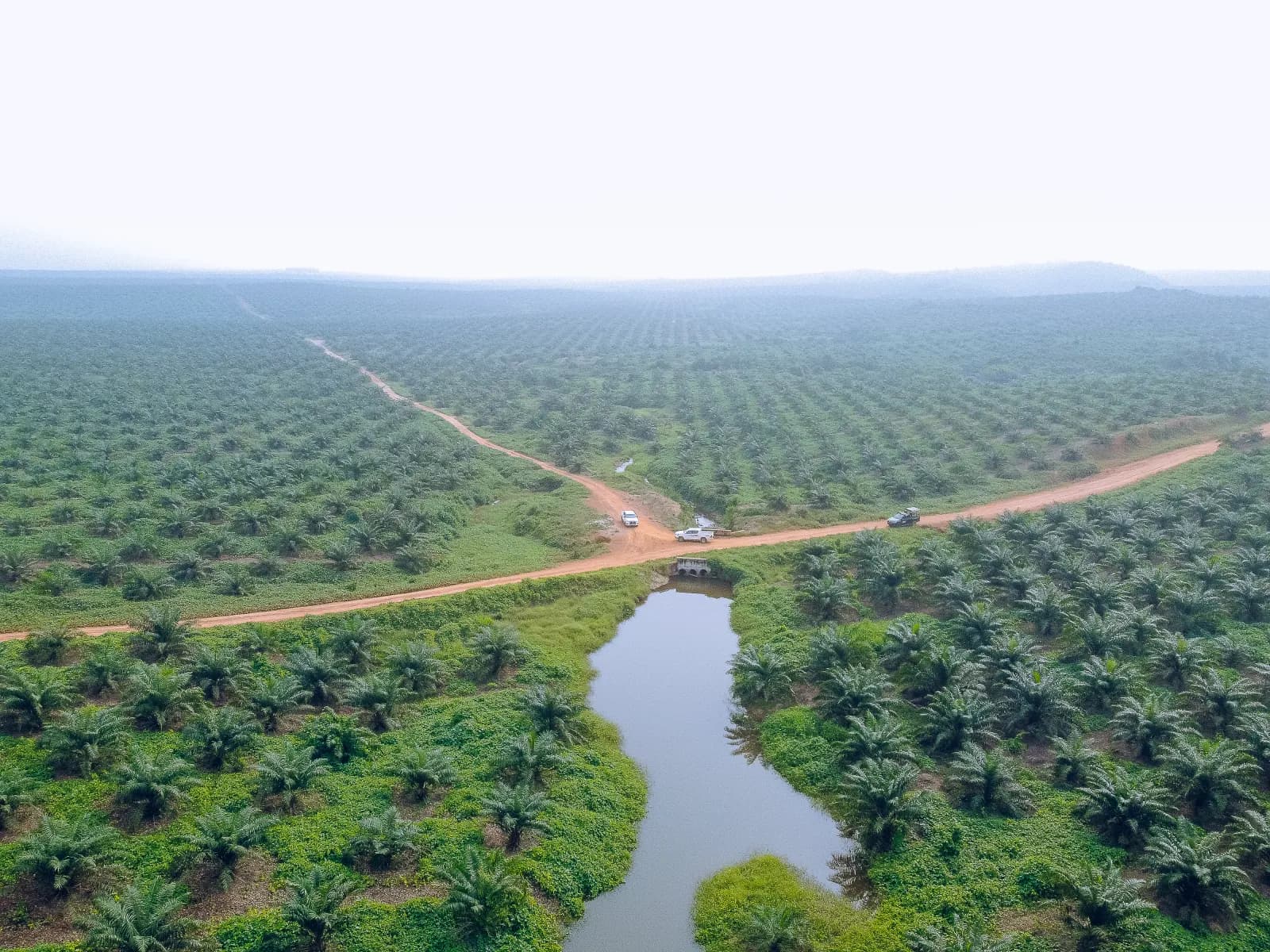On the Ground at JB Farms, Ore, Ondo State