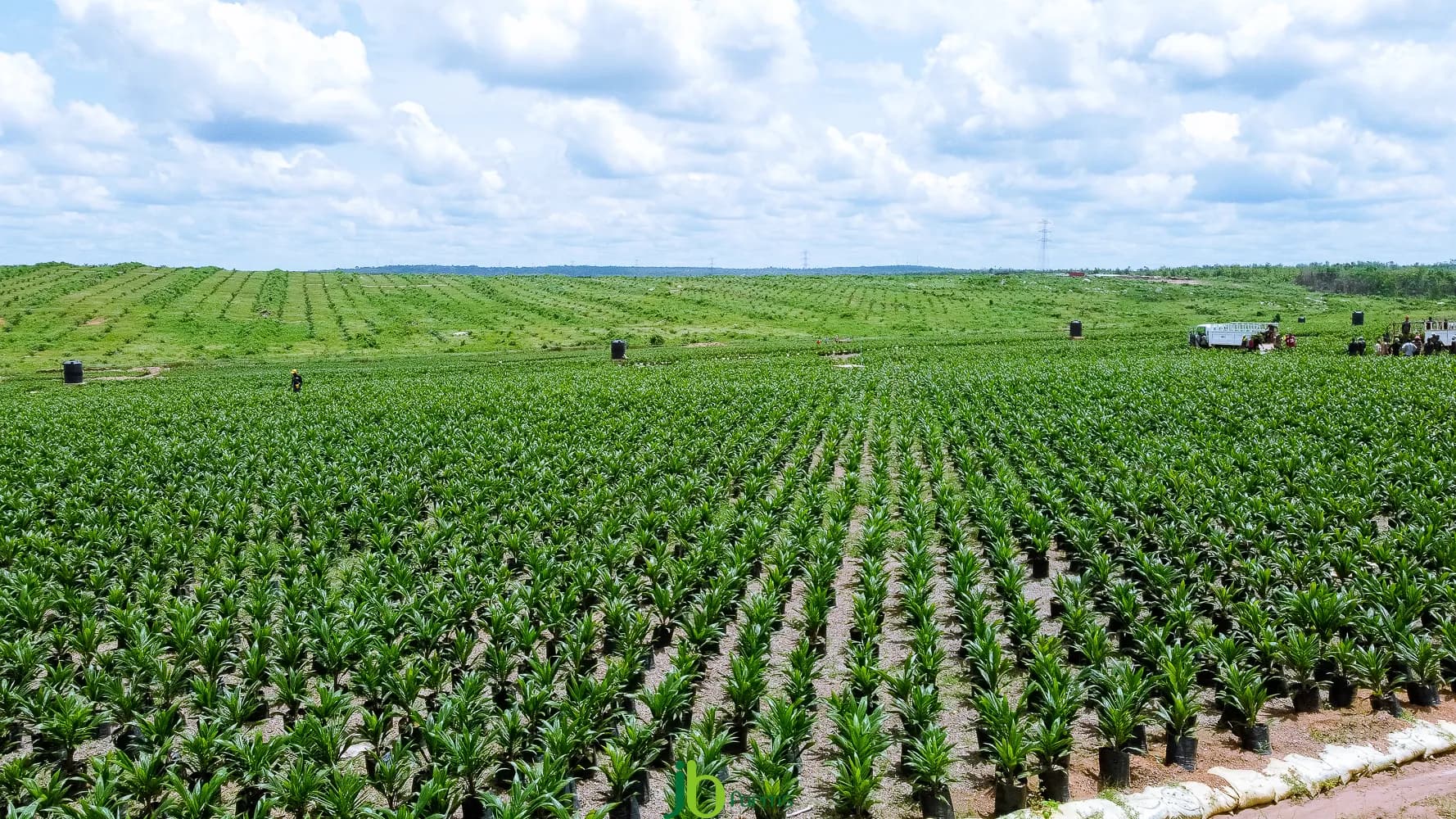 JB Farms processing facility